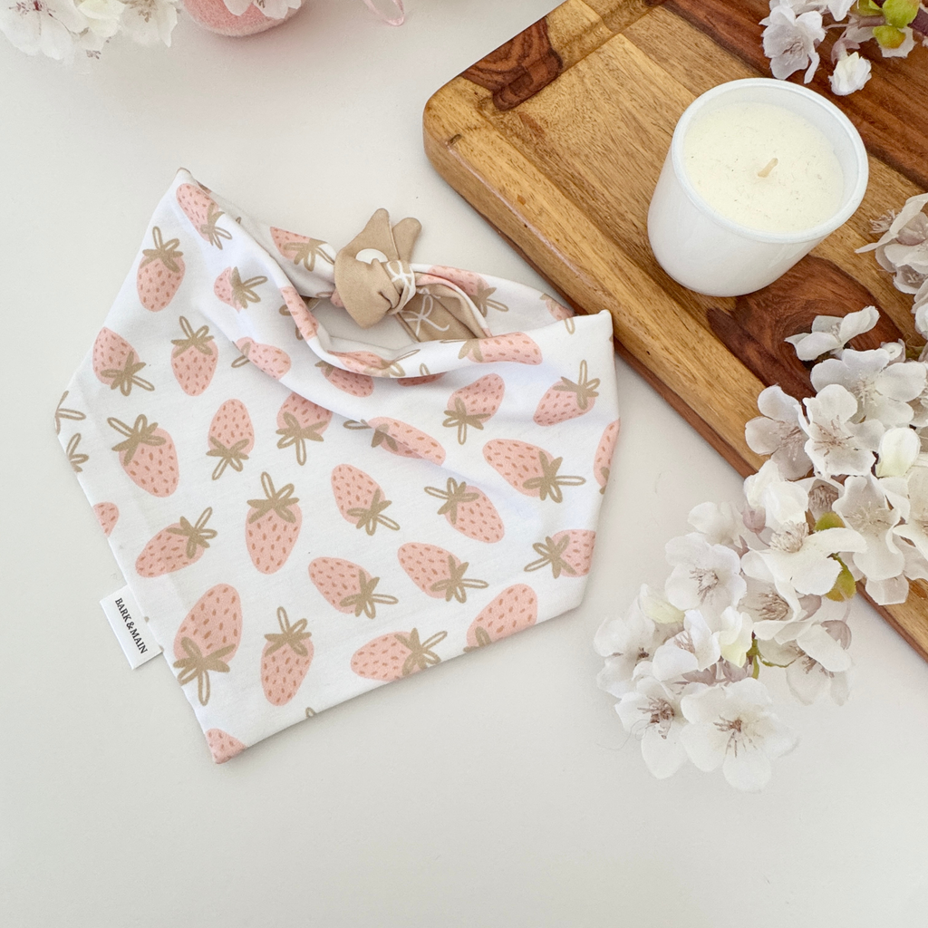 Bark & Main - Berries & Bows Reversible Dog Bandana