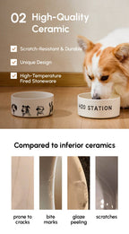 Ceramic Pet Bowl – Set of 2