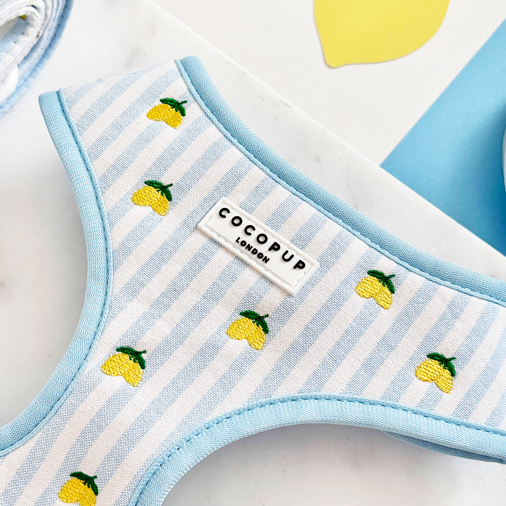 Cocopup London Living La Vida Lemon Adjustable Dog Harness