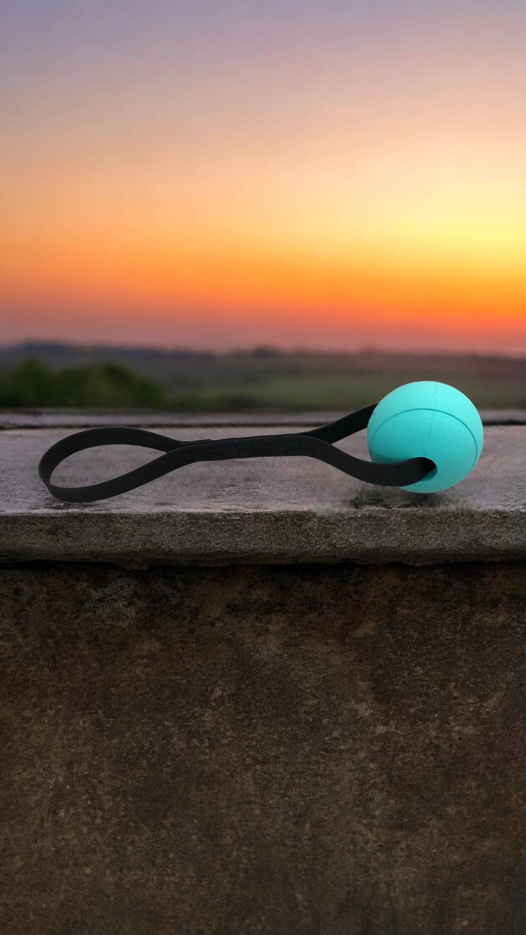 Dog Fetch Ball | Waterproof