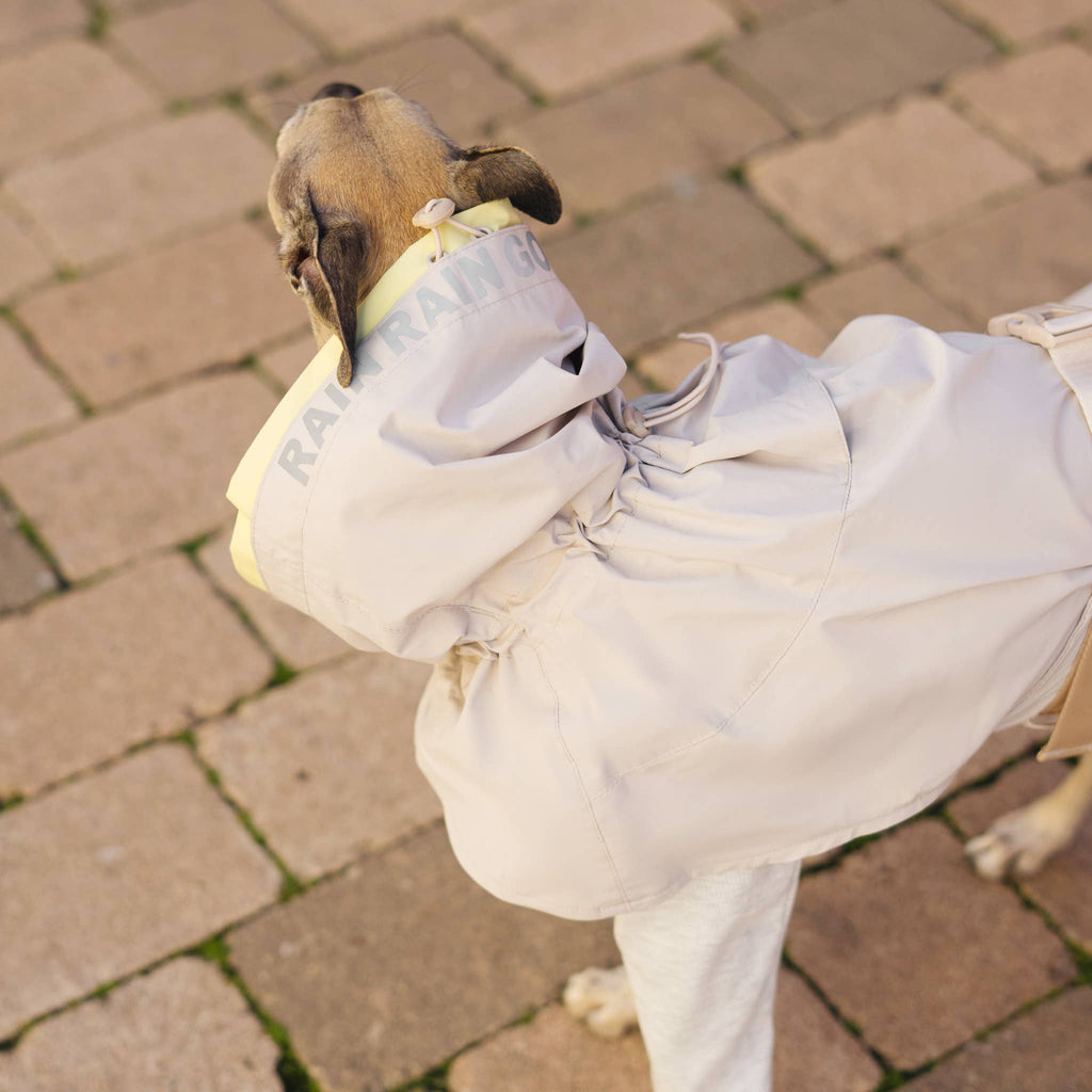 Pups & Bubs Lumi Raincoat for Dogs