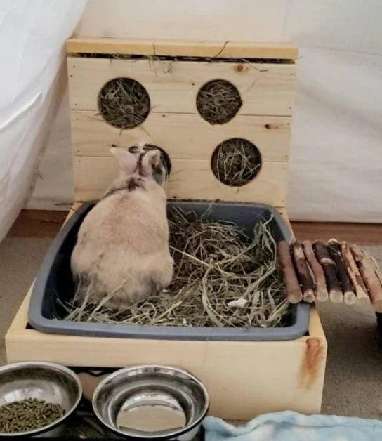 Four Hole Hay Feeder and Litter Box