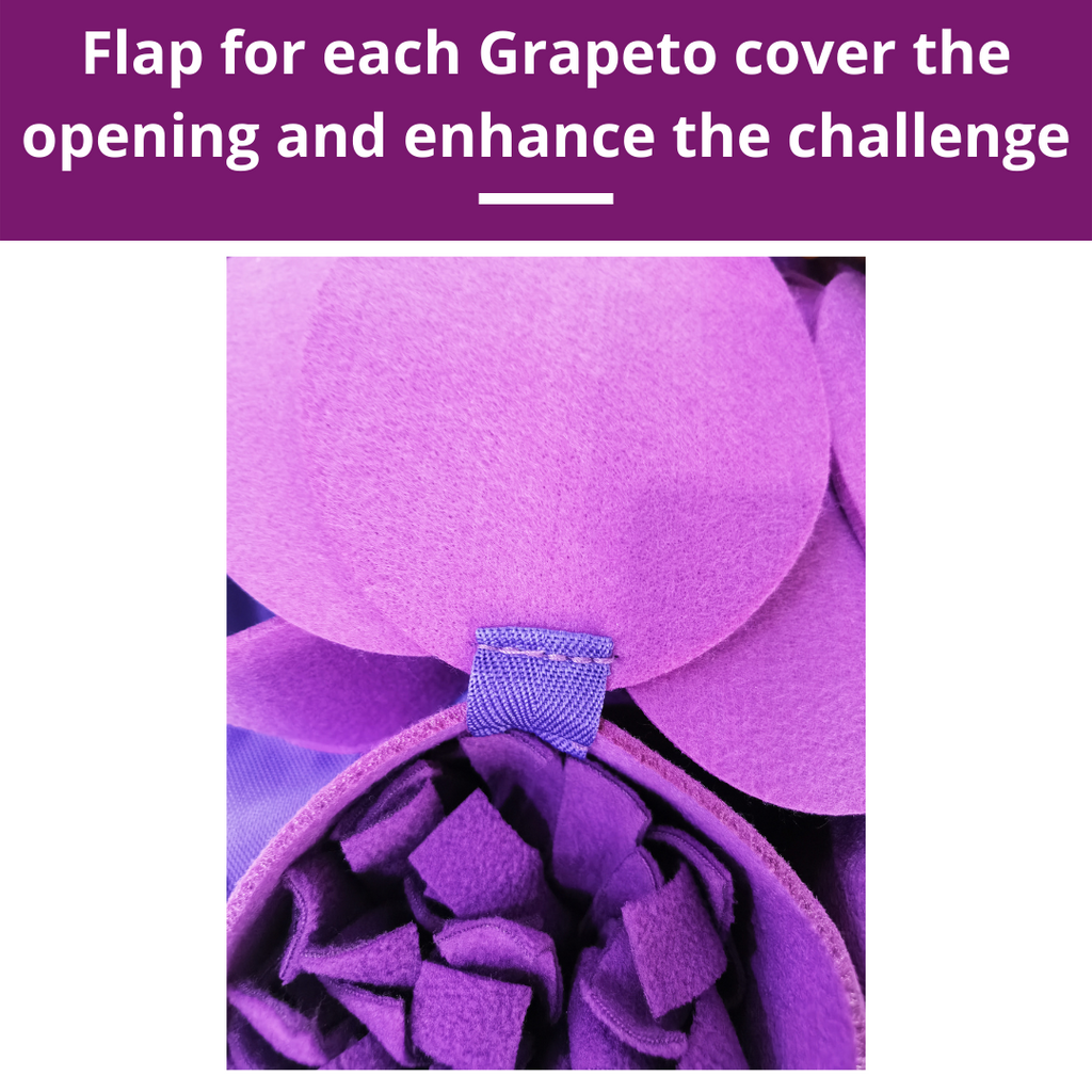 PawzNDogz Forbidden Grapes™ Snuffle Mat