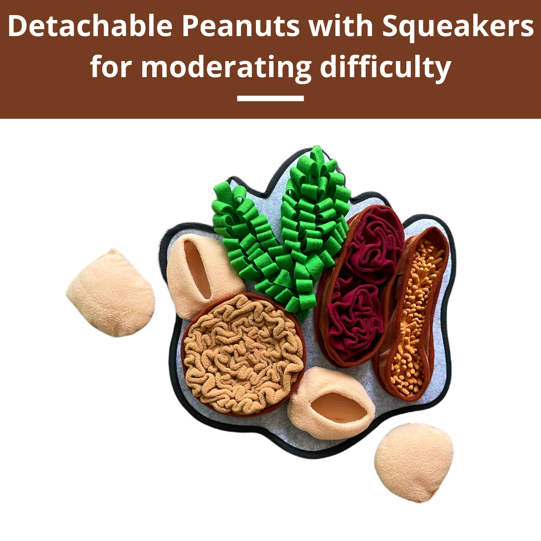 Chonky Peanuts™ Snuffle Mat