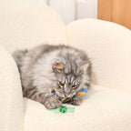 Camping Claws  | Meow Camps - Cat Toy