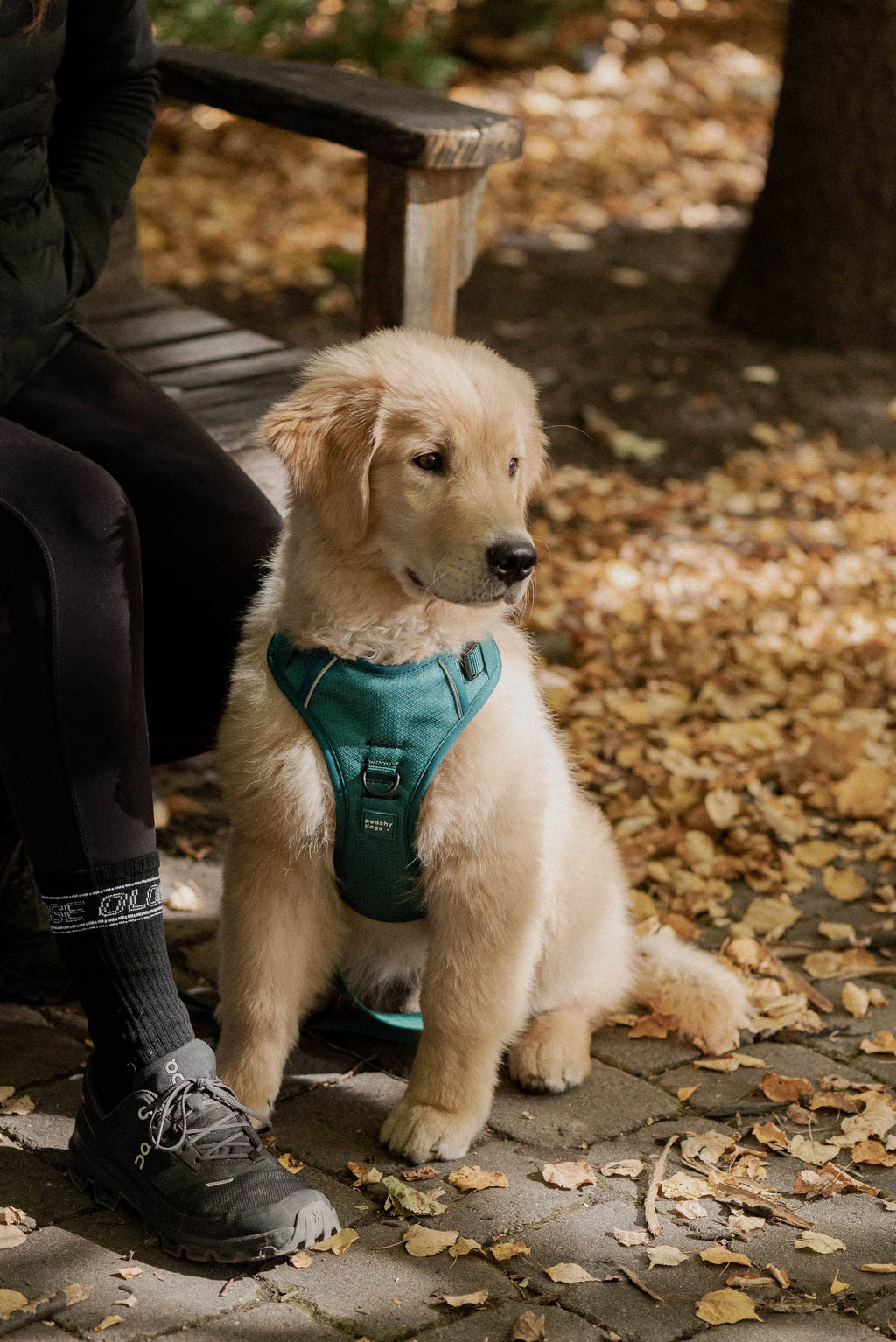 Mojito Classic 2.0 Harness