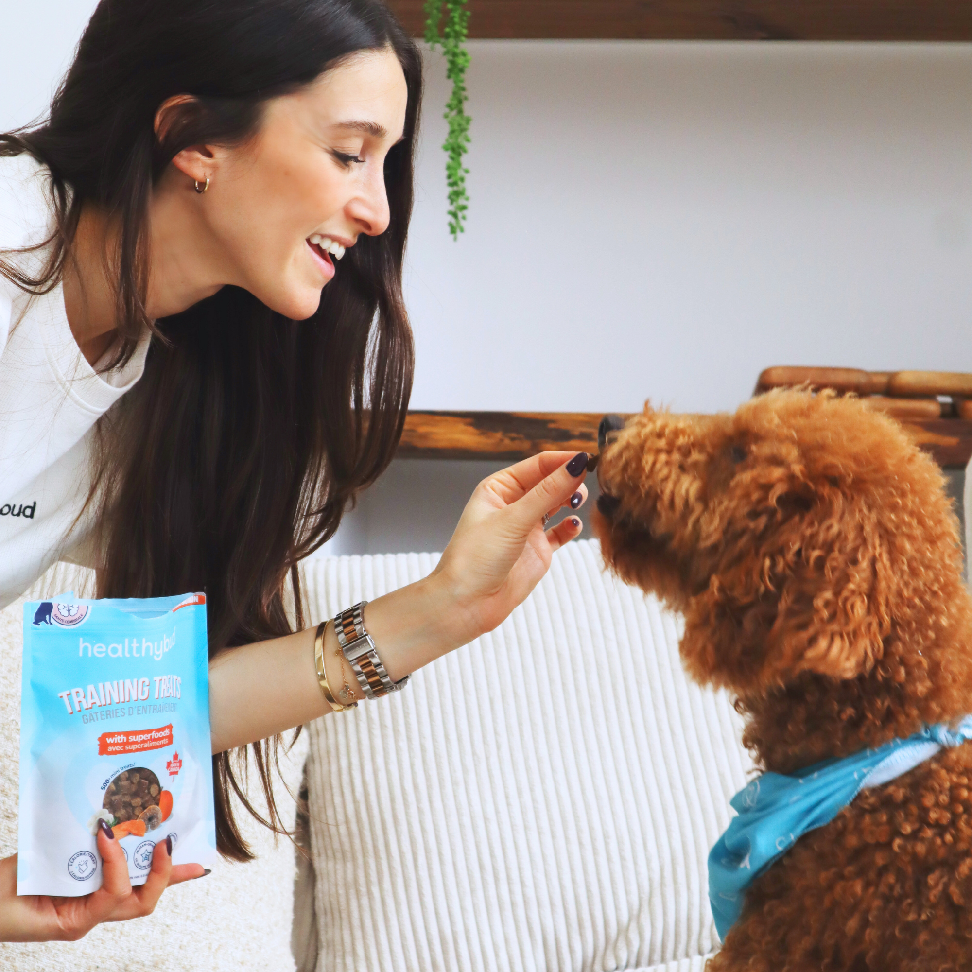 Salmon Mini Training Treat for Dogs