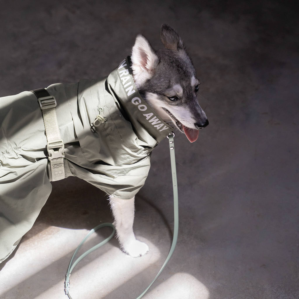 Pups & Bubs Lumi Raincoat for Dogs