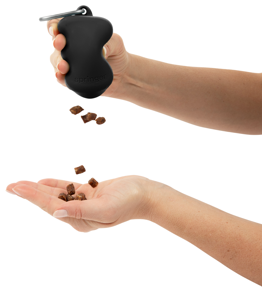 Silicone Dog Treat Dispenser