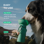 Springland Pets Flip Dog Travel Water Bottle – 20oz