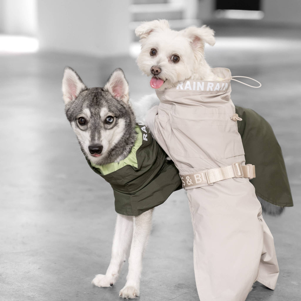 Pups & Bubs Lumi Raincoat for Dogs