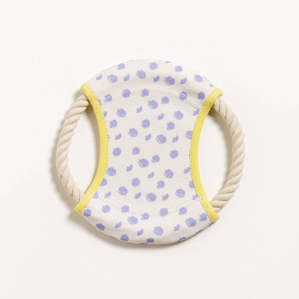 Dizzy Disc Canvas Frisbee