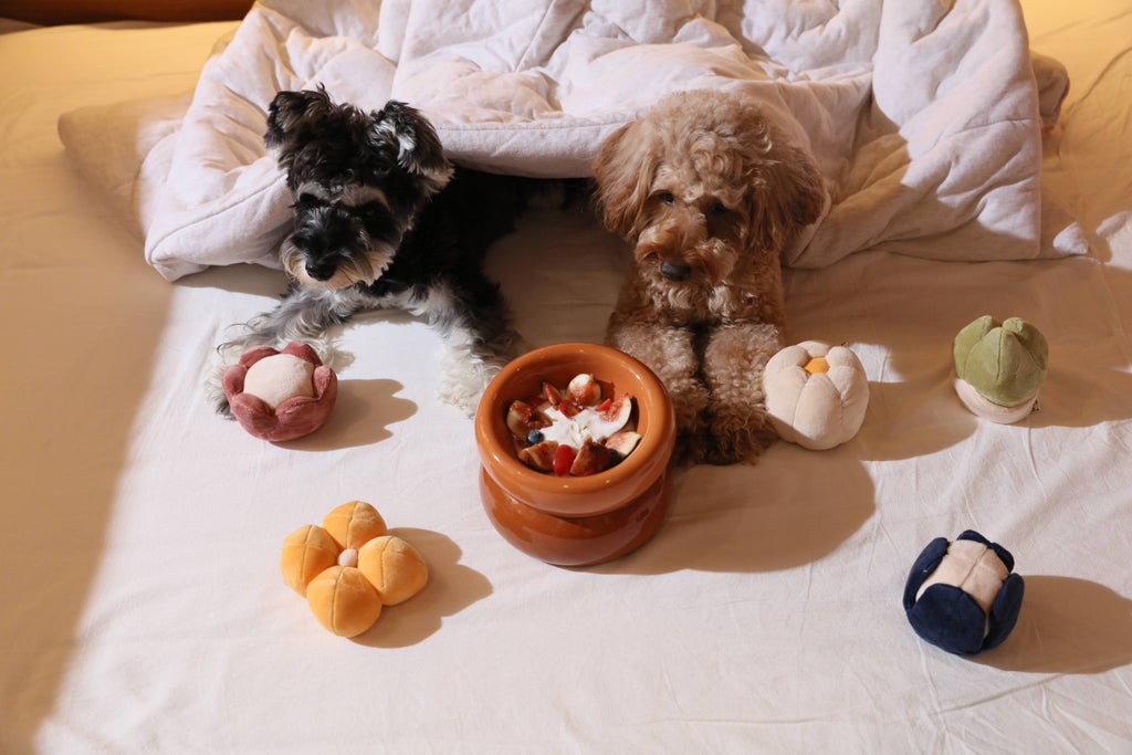 Soufflé Pet Bowl - Rose Pink