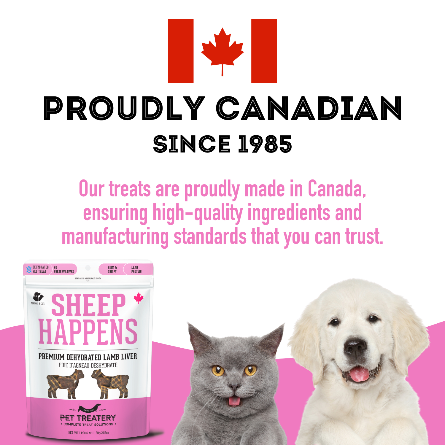 Lamb Liver Dehydrated PetTreat: High Protein & Omega 3