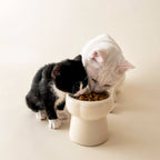 Creamy Ceramic Cat Food Bowl