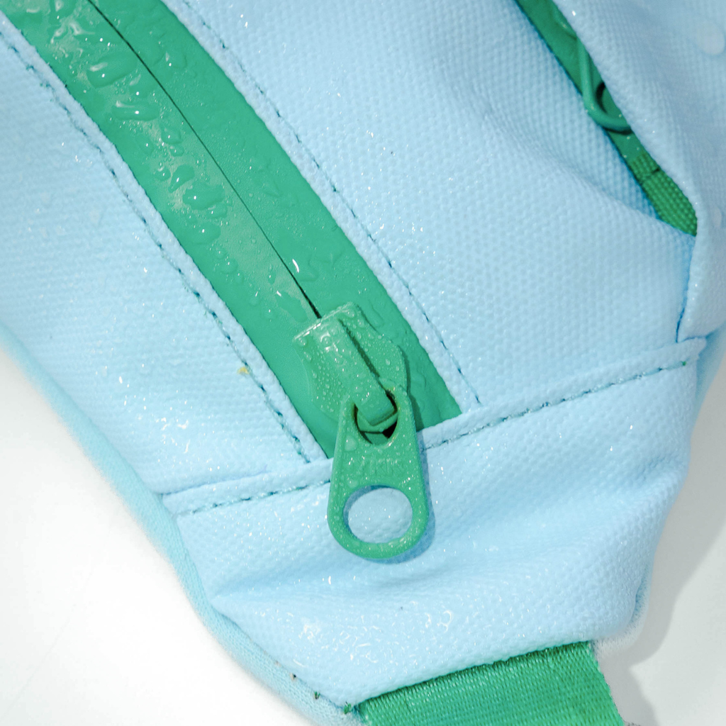 Hands-Free Dog Walking Bag WITH Leash