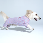 JamJam Stripe All-In-One Dog Jumpsuit – Black