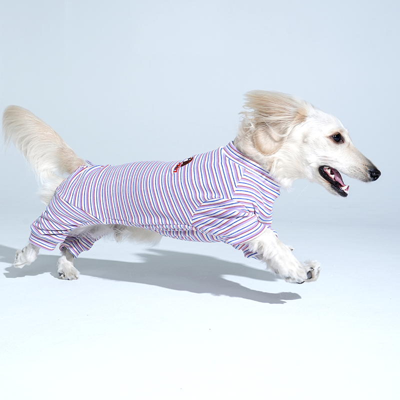 JamJam Stripe All-In-One Dog Jumpsuit – Black