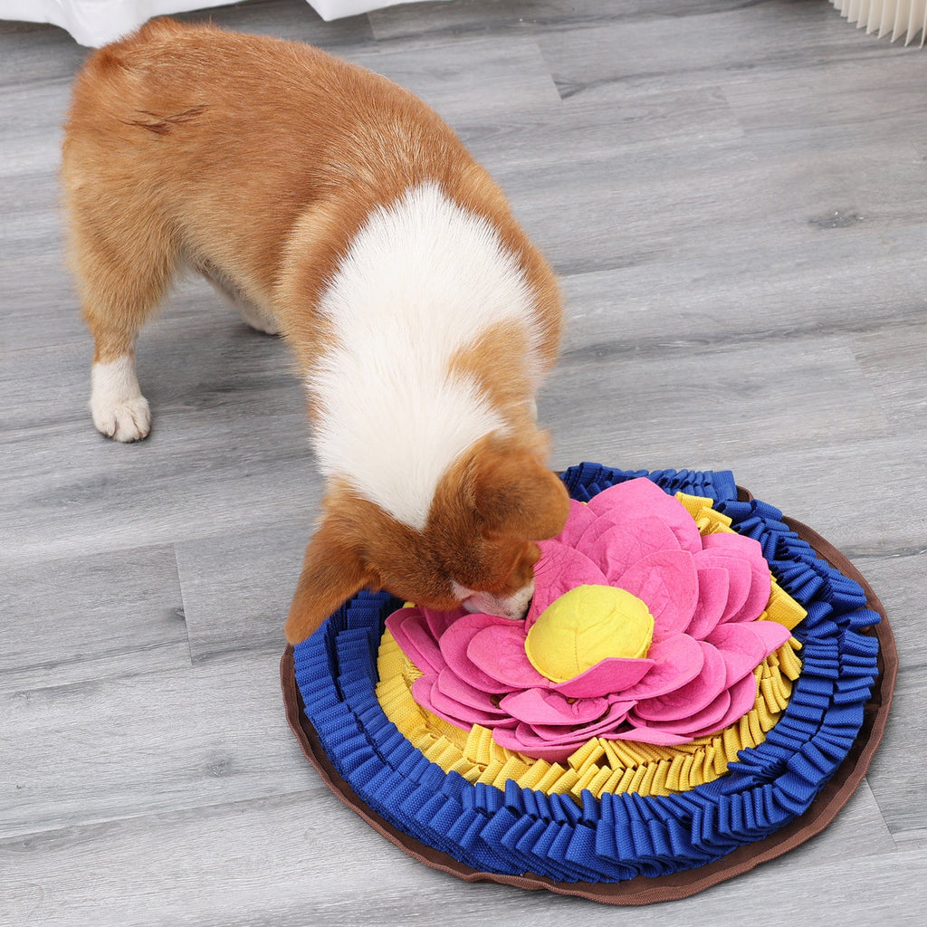PawzNDogz Divine Lotus™ AntiBite Snuffle Mat