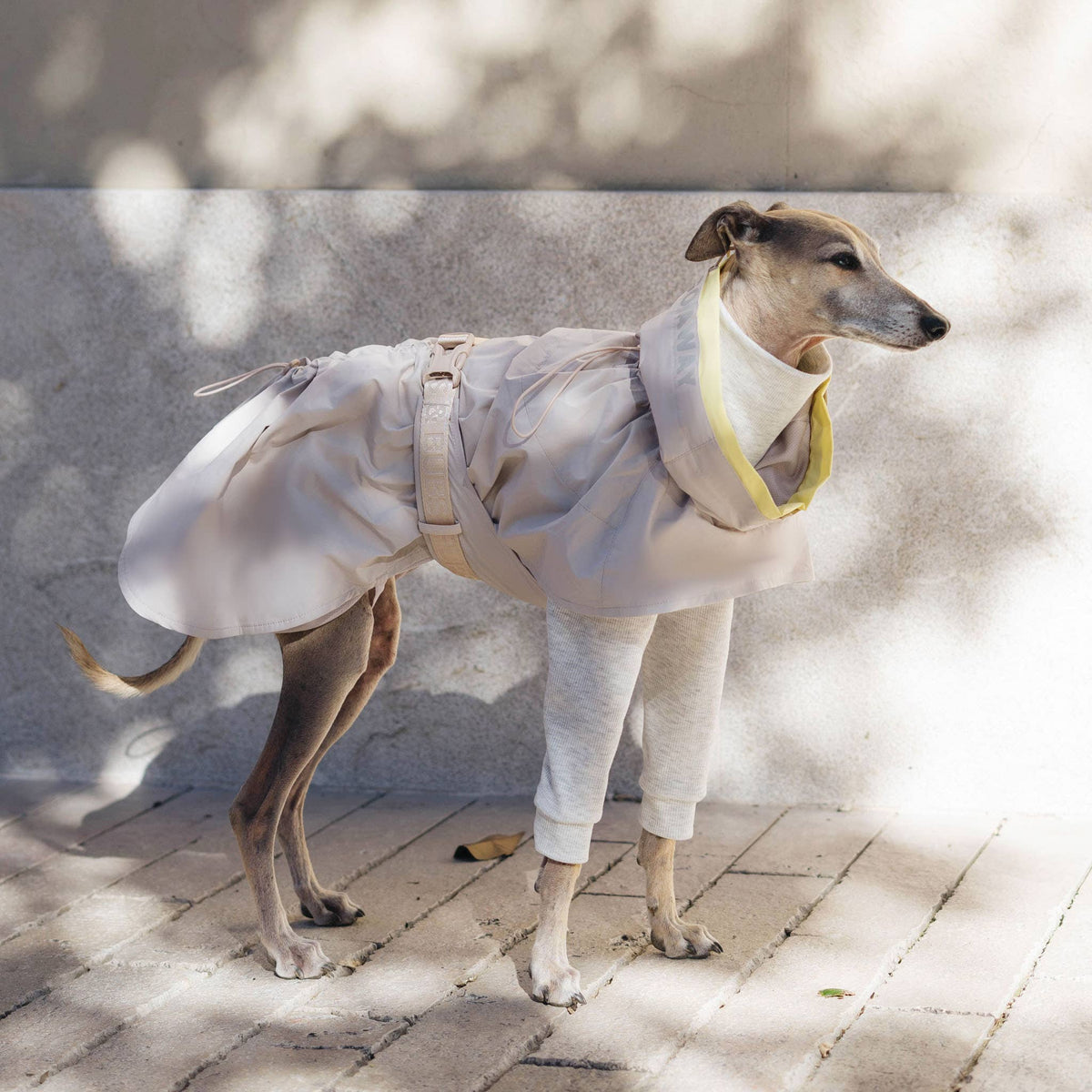 Pups & Bubs Lumi Raincoat for Dogs