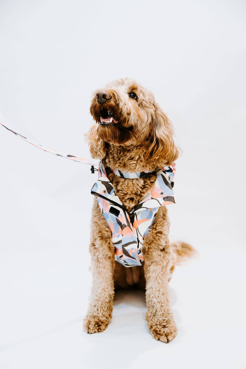 Stella & Oscar Leaf Dog Rain Jacket