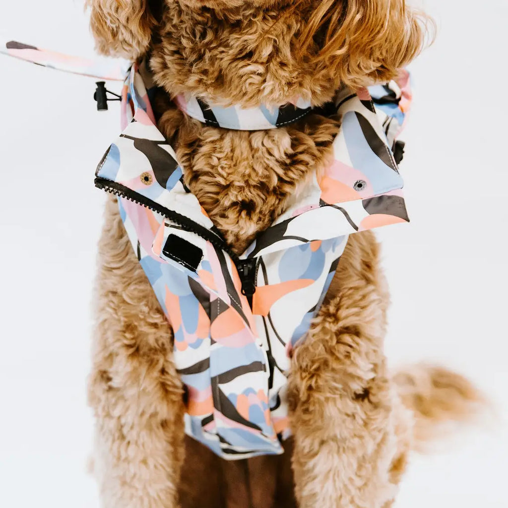 Stella & Oscar Leaf Dog Rain Jacket