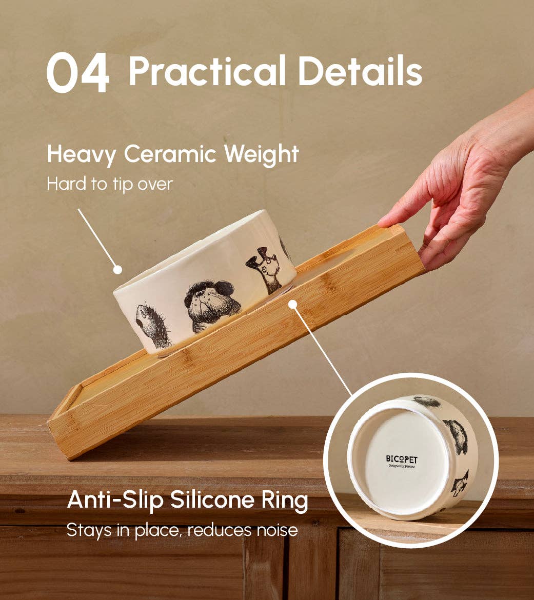Ceramic Pet Bowl – Set of 2