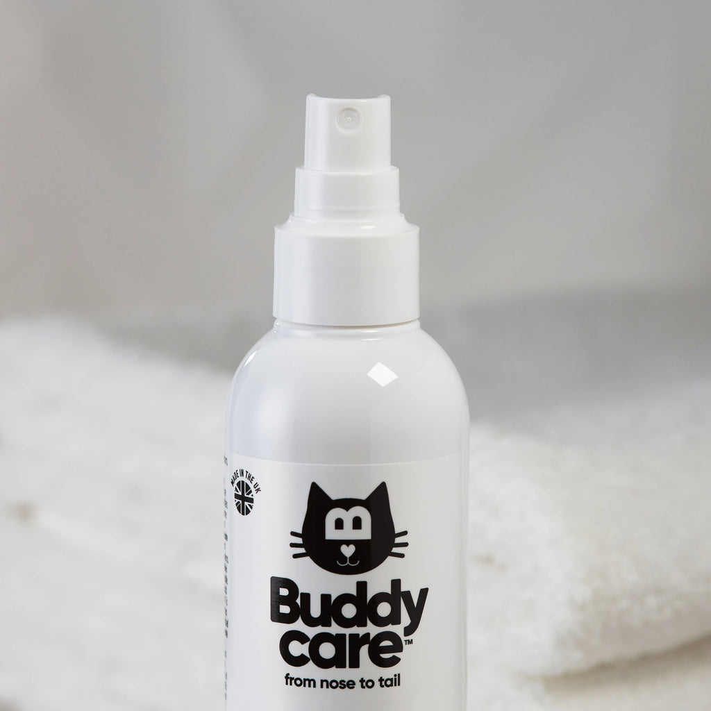 Cat Hydrating Detangling Spray - 6.76 fl oz