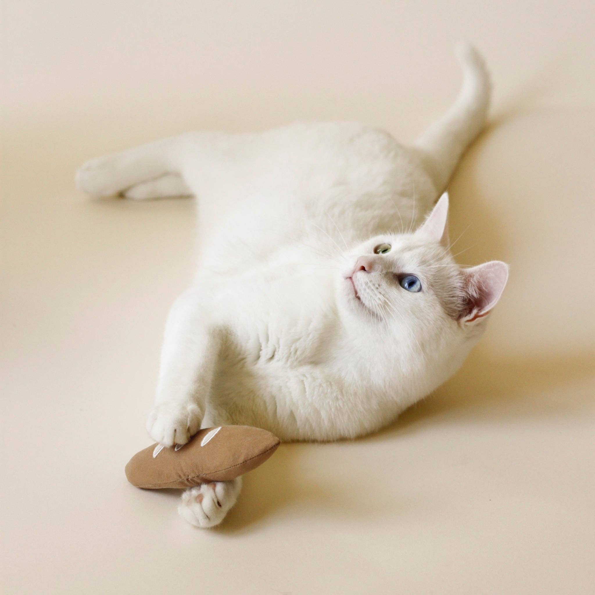 Breakfast Club Cat Toy Bundle