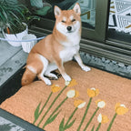 spring dog convertible entrance doormat
