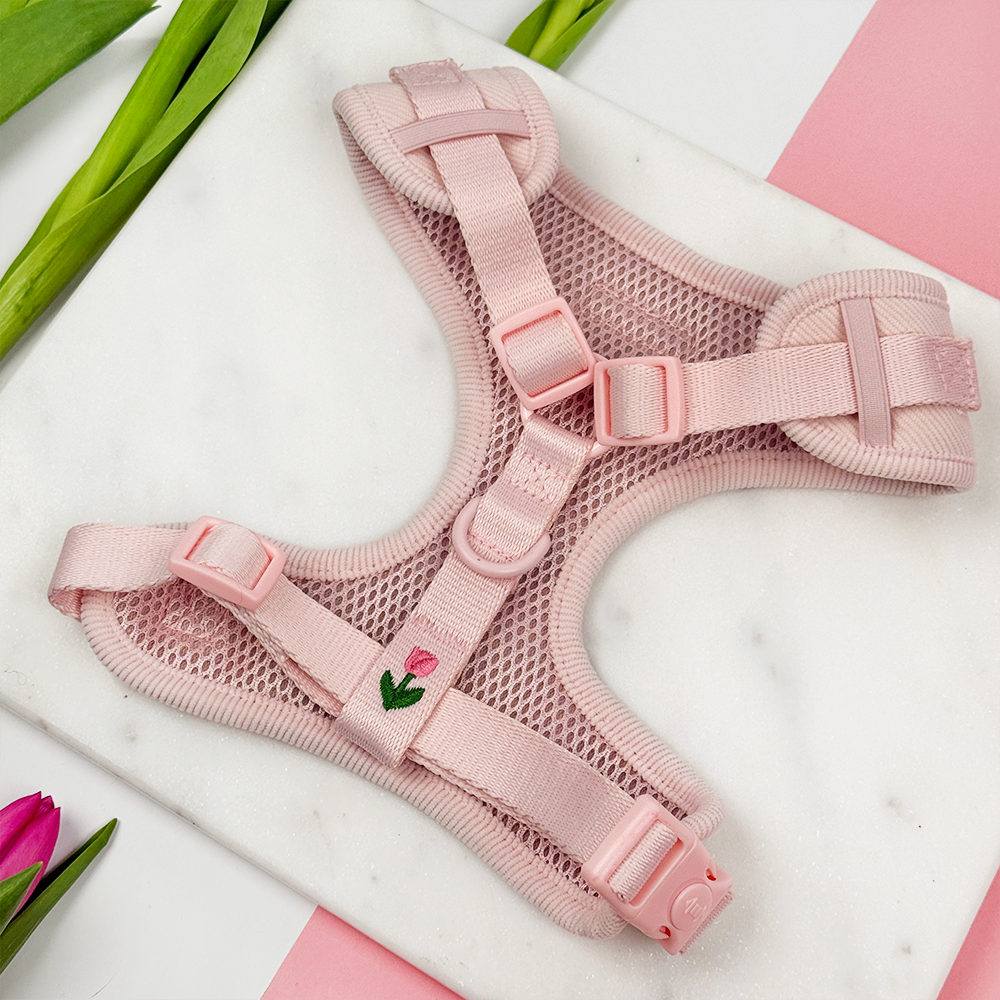Cocopup London Tulip Tails Adjustable Dog Harness