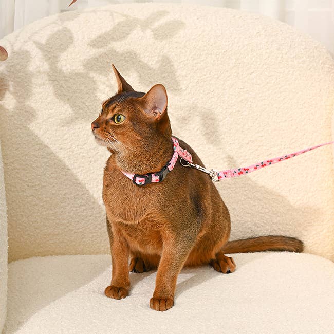 Cat Harness & Leash Set | Cherry