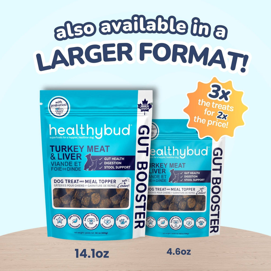 Turkey Gut Booster Dog Treats