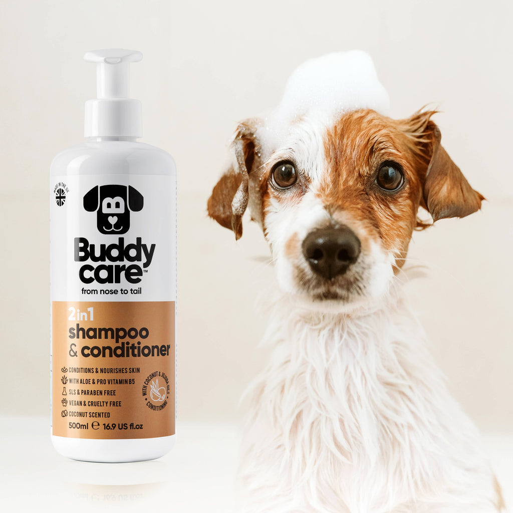 Dog Shampoo - 2in1 Coconut