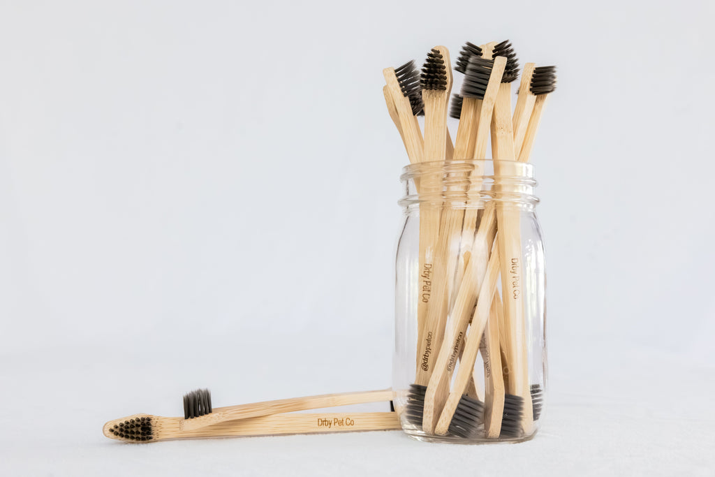 Dual-End Bamboo Toothbrush for Dogs & Cats