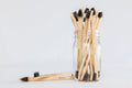 Dual-End Bamboo Toothbrush for Dogs & Cats