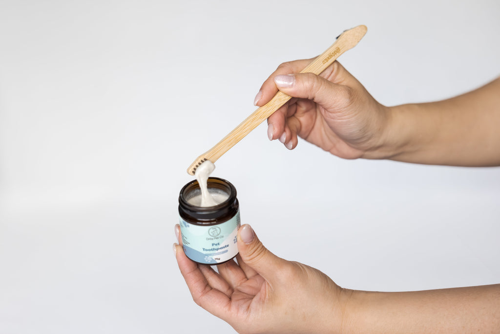 Dual-End Bamboo Toothbrush for Dogs & Cats