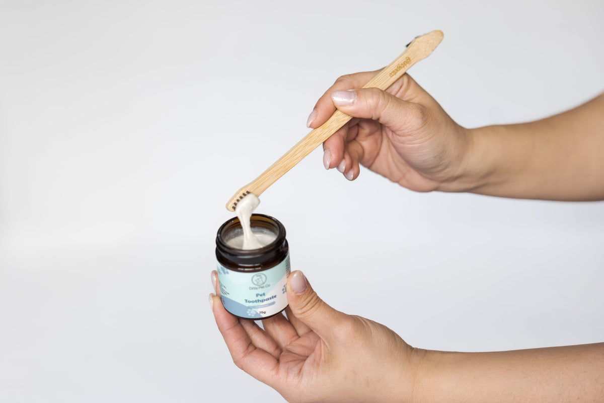 Dual-End Bamboo Toothbrush for Dogs & Cats