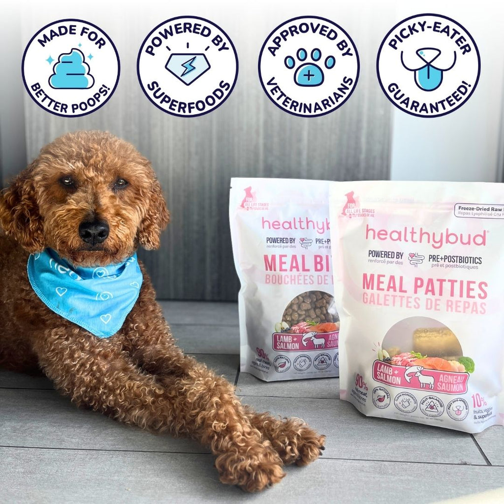 Freeze-Dried Raw Lamb + Salmon Meal Bites