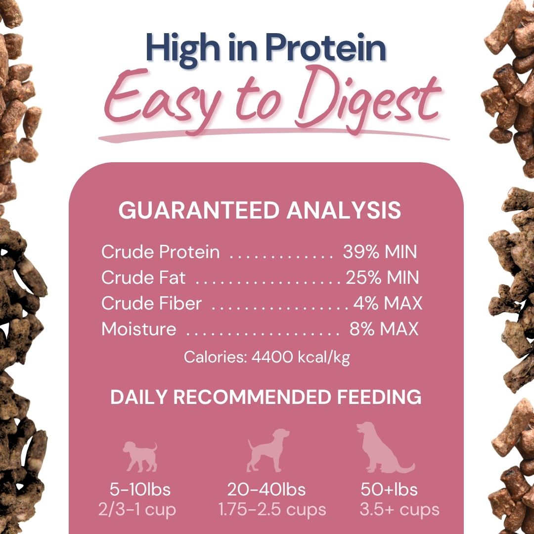 Freeze-Dried Raw Lamb + Salmon Meal Bites