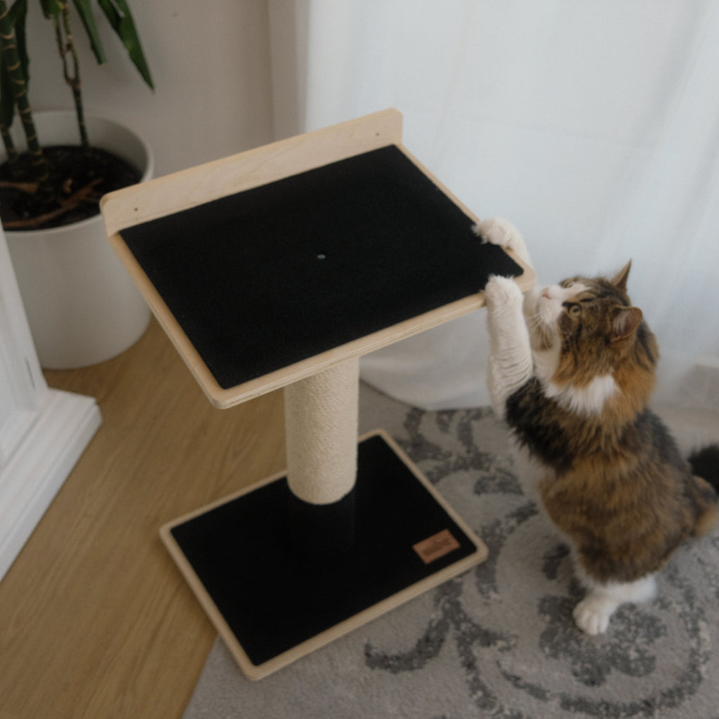 Noba Modern Plywood Cat Tree – 1 Tier, Fique Rope, Black, White & Grey