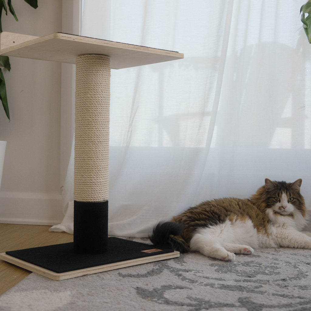 Noba Modern Plywood Cat Tree – 1 Tier, Fique Rope, Black, White & Grey