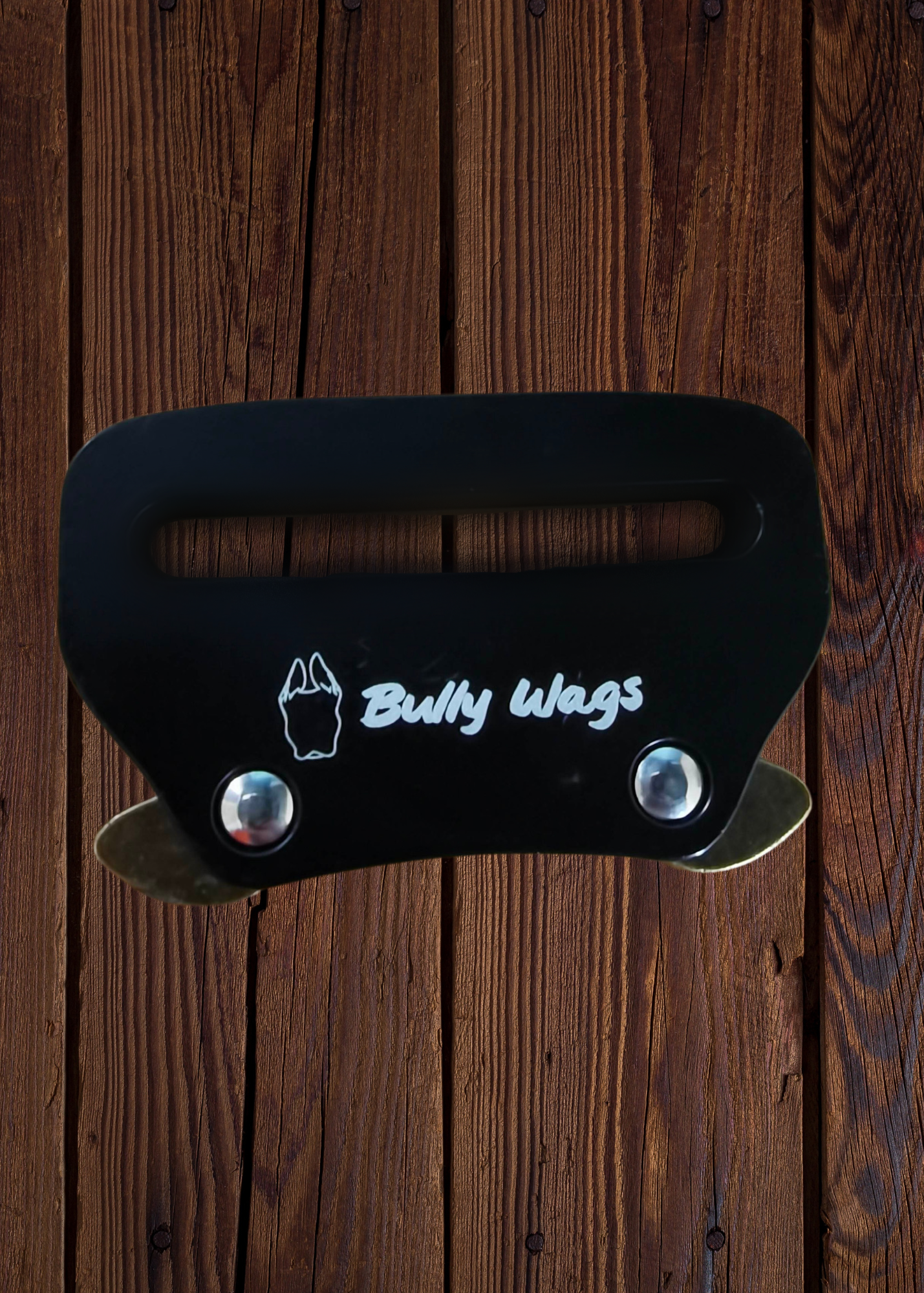 Heavy-Duty Everyday Harness - Black