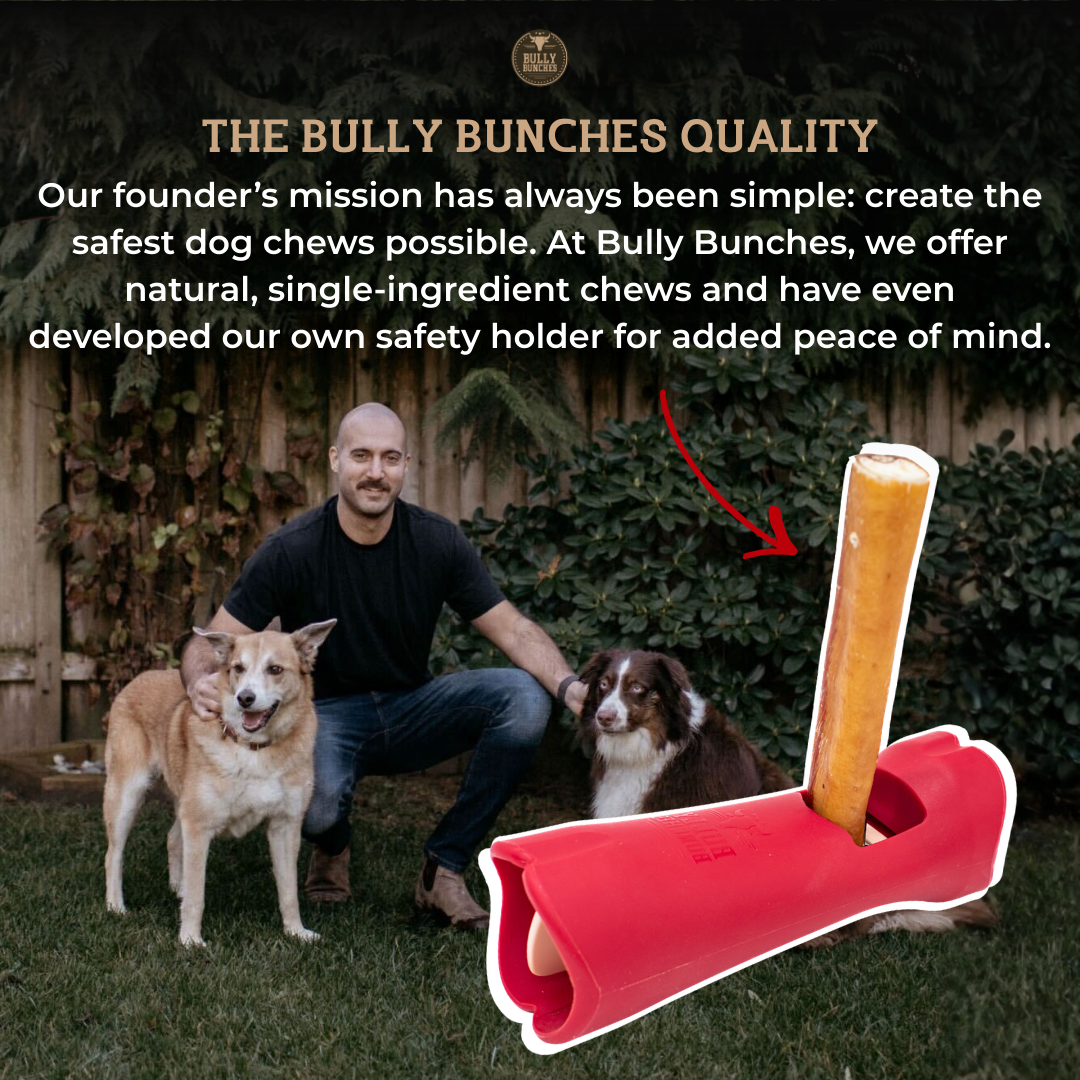Bully Bunches Bully Stick Safety Holder