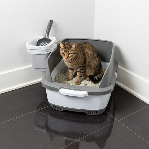 Cateco Odour-Eliminating Litter Box – Complete Starter Kit