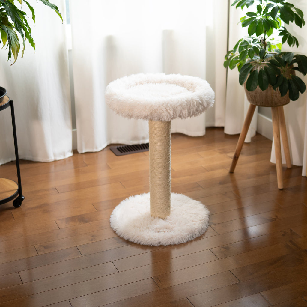 The Blush Perch – 1-Level Cat Tree