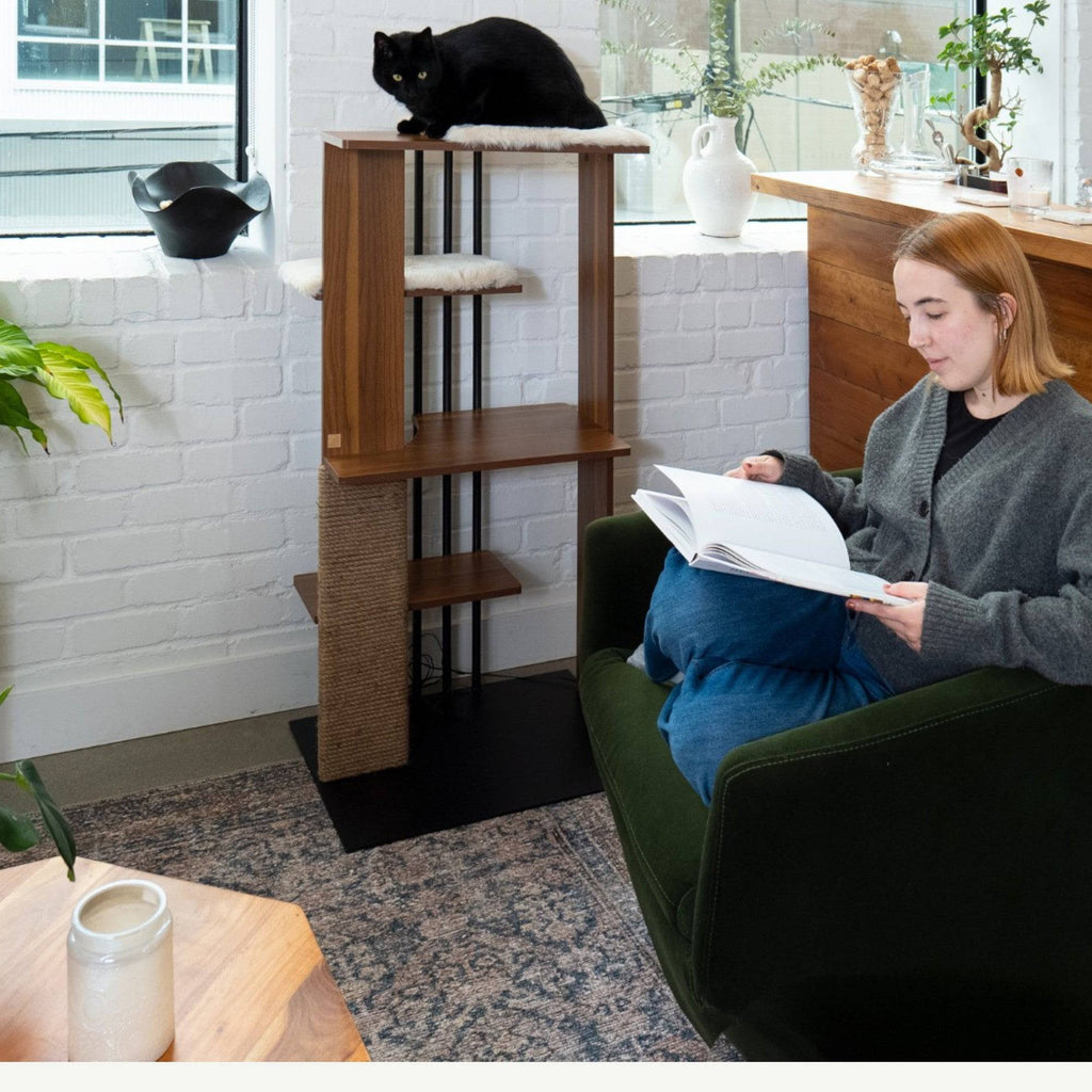 cali cat tree
