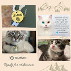 Minimalist Breakaway Cat Collar with ID Tag