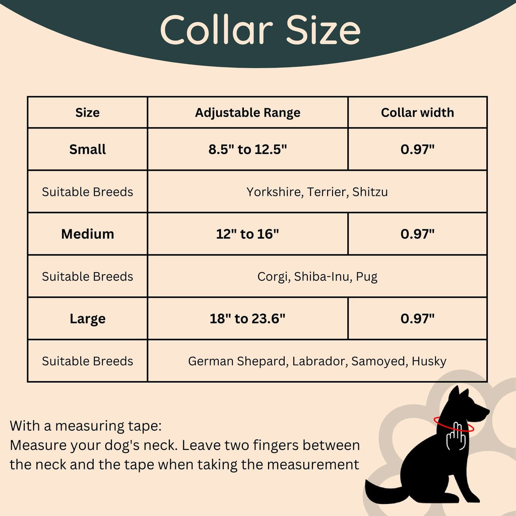 Waterproof Dog Walk Combo – Collar, Leash & Tag