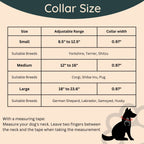 Waterproof Dog Walk Combo – Collar, Leash & Tag